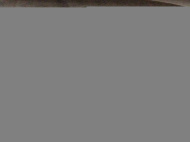 Feuilles LATTYCARB 96 G2F